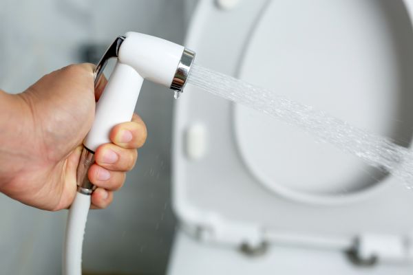 Cost of Bidet Installation in Mesa