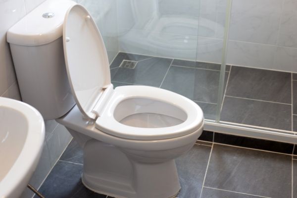 Cost of Toilet Replacement in Mesa
