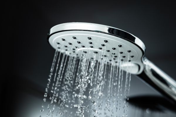 Cost of Shower Head Replacement in Mesa