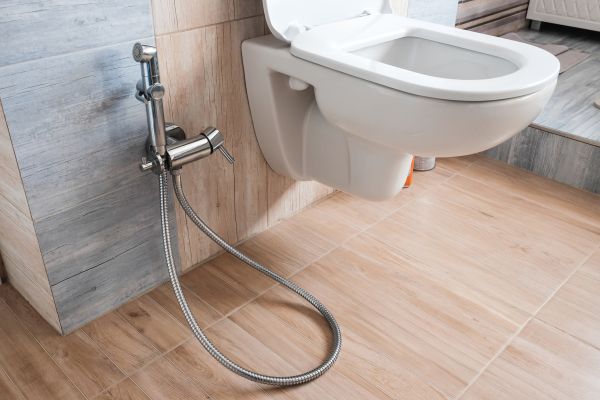 Cost of Bidet Service in Mesa