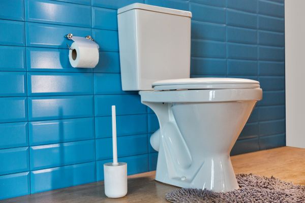 Cost of Toilet Tank Repair in Mesa