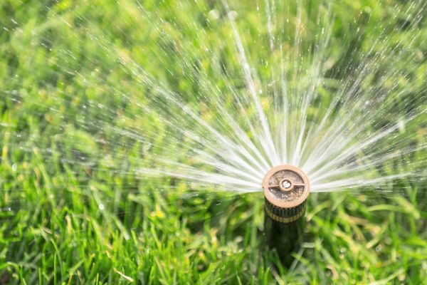 Cost of Spigot Installation in Mesa