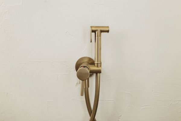 Cost of Bidet Plumbing in Mesa