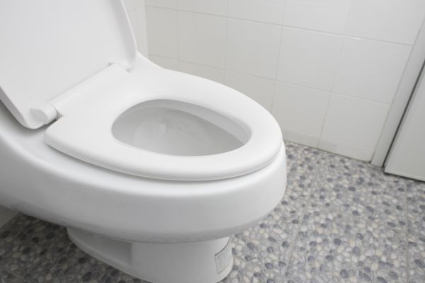 Cost of New Toilet Installation in Mesa