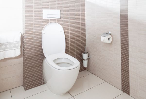 Cost of Toilet Plumbing Installation in Mesa