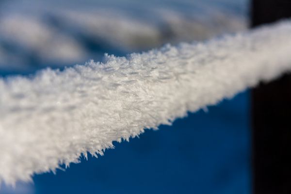 Cost of Frozen Pipe Service in Mesa